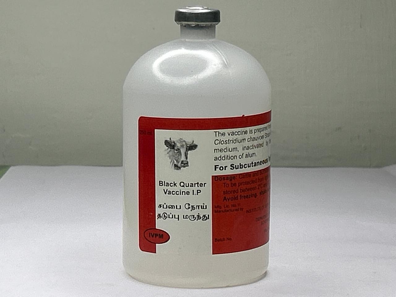 Black Quarter Vaccine vial