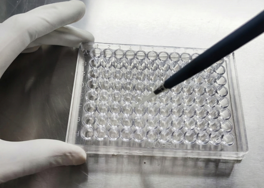 Training and Workshops